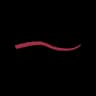 Smart Fusion Lip Pencil 28